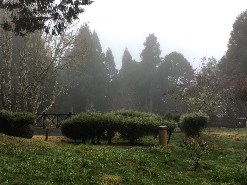 ▲阿里山森林遊樂區位於背風面，因此較不易下雪。（圖／翻攝自阿里山森林遊樂區臉書粉絲團）