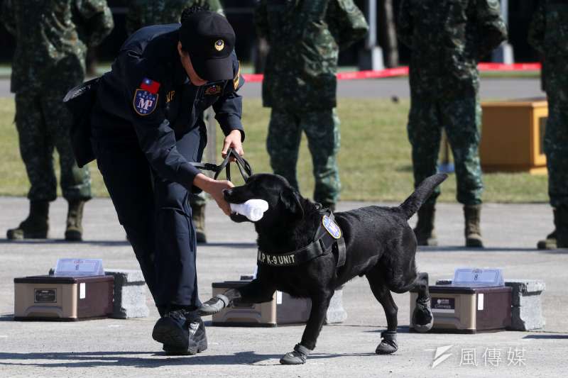 20200116-憲兵指揮部舉行89周年部慶，現場有憲兵緝毒犬動態展演。（蘇仲泓攝）