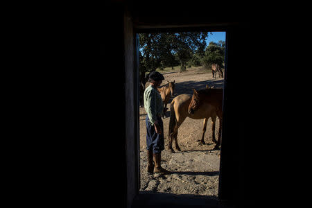 Fernando Noailles, emotional therapist, stands with his horses in Guadalix de la Sierra, outside Madrid, Spain, July 27, 2017. Noailles uses his animals to help people suffering from stress and anxiety. REUTERS/Juan Medina