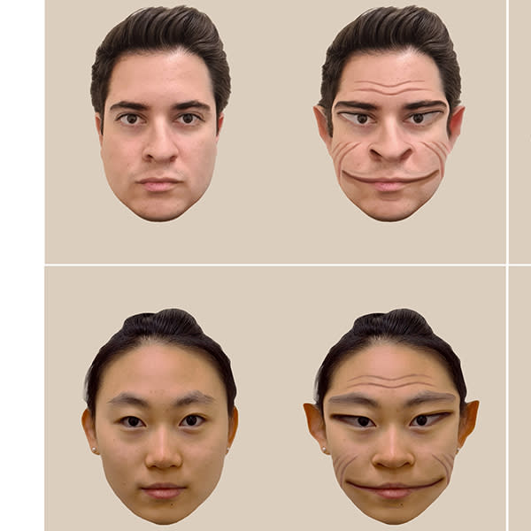 So sehen Gesichter für einen Prosopometamorphopsie-Betroffenen aus (Bild: A. Mello et al.)