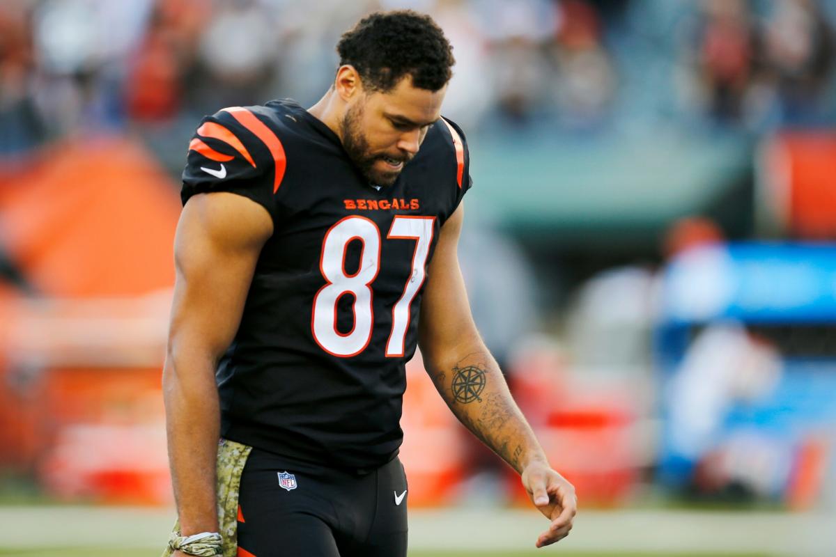 Cincinnati Bengals tight end C.J. Uzomah (87) lines up against the