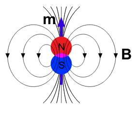 magnetic dipole