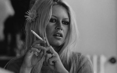 Bardot in 1968 - Credit: Terry O'Neill