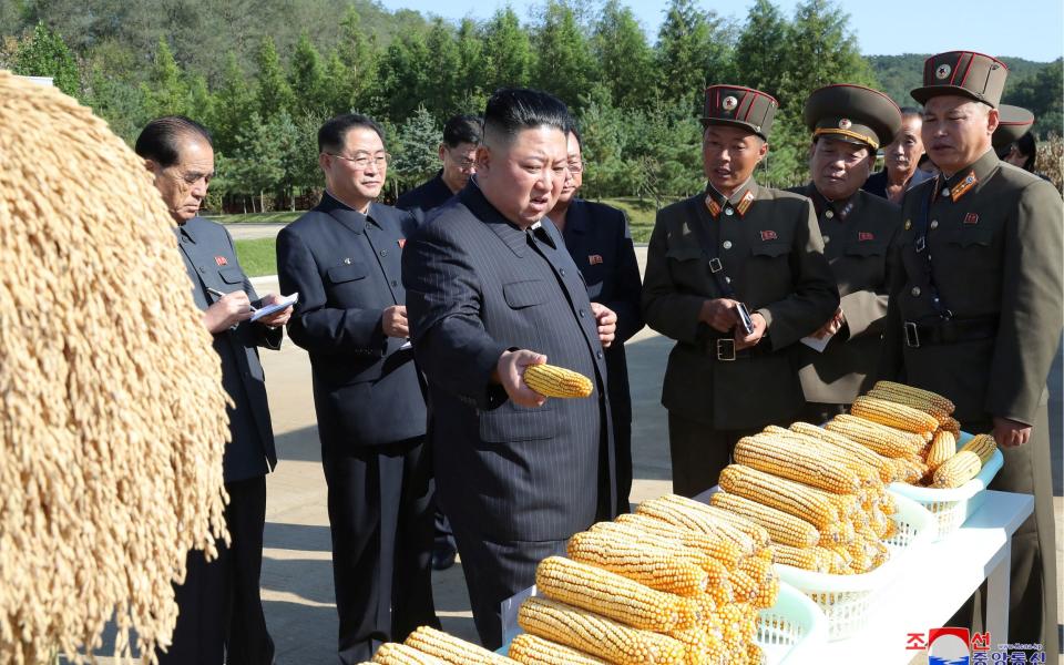 North Korea could soon be facing a famine. - Reuters 