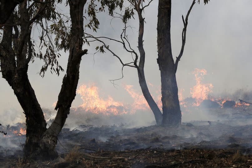 A spot fire burns near Bredbo, south of the Australian capital, Canberra during 2020's devastating wildfires.