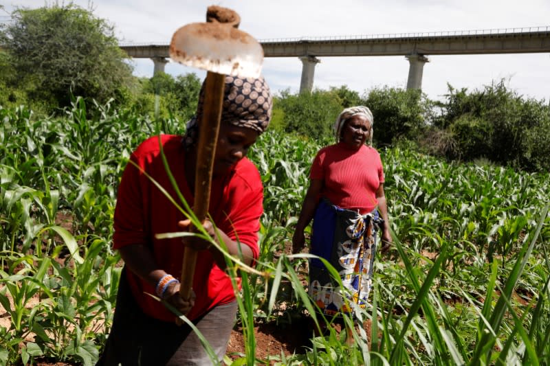 The Wider Image: Some Kenyans say Chinese-built railway leaves them in the dust