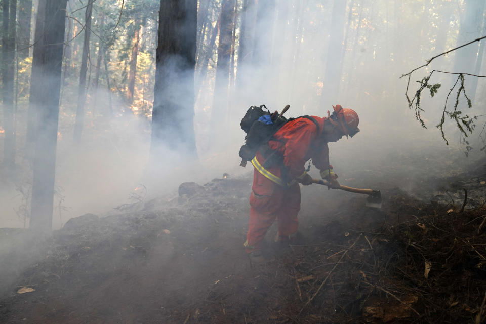 A member of a California Dept. of Corrections fire crew cuts down a containment line while fighting the CZU August Lightning Complex Fire Friday, Aug. 21, 2020, in Bonny Doon, Calif. (AP Photo/Marcio Jose Sanchez)