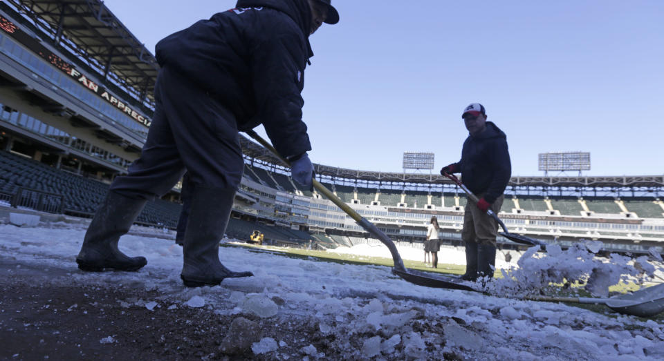 This Monday, March 17, 2014 photo taken in Chicago, shows U.S. Cellular Field, home to the Chicago White Sox baseball team, as members of head groundskeeper Roger Bossard's crew work to ready the field for opening day after one of the most brutal winters the city has ever seen. Brossard described the unusual conditions including 30 inches of permafrost, and having to remove 400 tons of snow from the playing field, as the perfect storm. (AP Photo/M. Spencer Green)