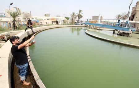 An employee, collects a water sample from at Al-buradieiah Water Treatment Plant damaged on the banks of the Shatt al-Arab in Basra, Iraq September 17, 2018. REUTERS/Essam al-Sudani/Files