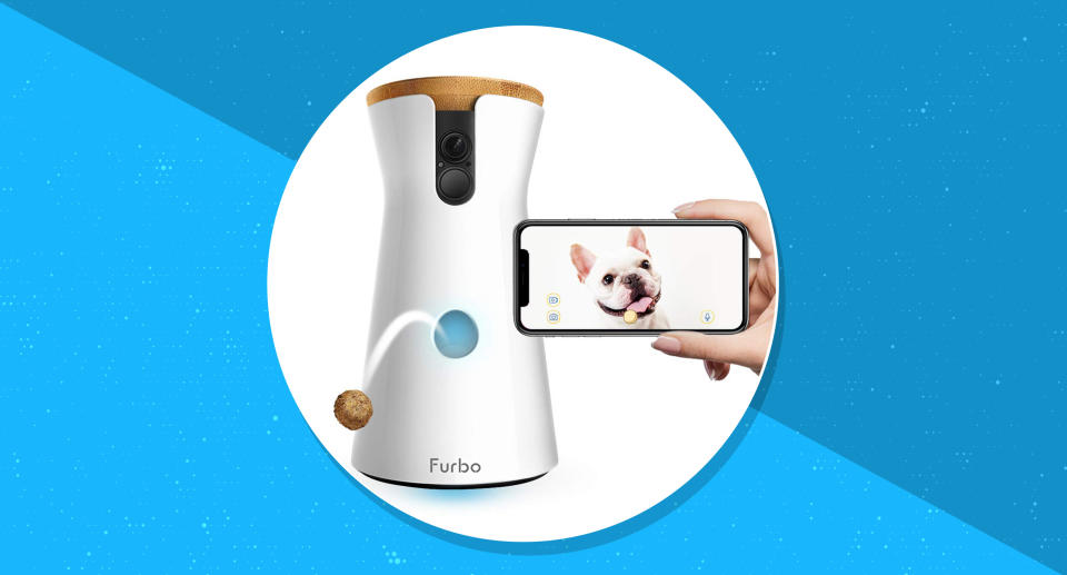 Amazon's best-selling pet camera is over 45 percent off during Prime Day. (Photo: Amazon)