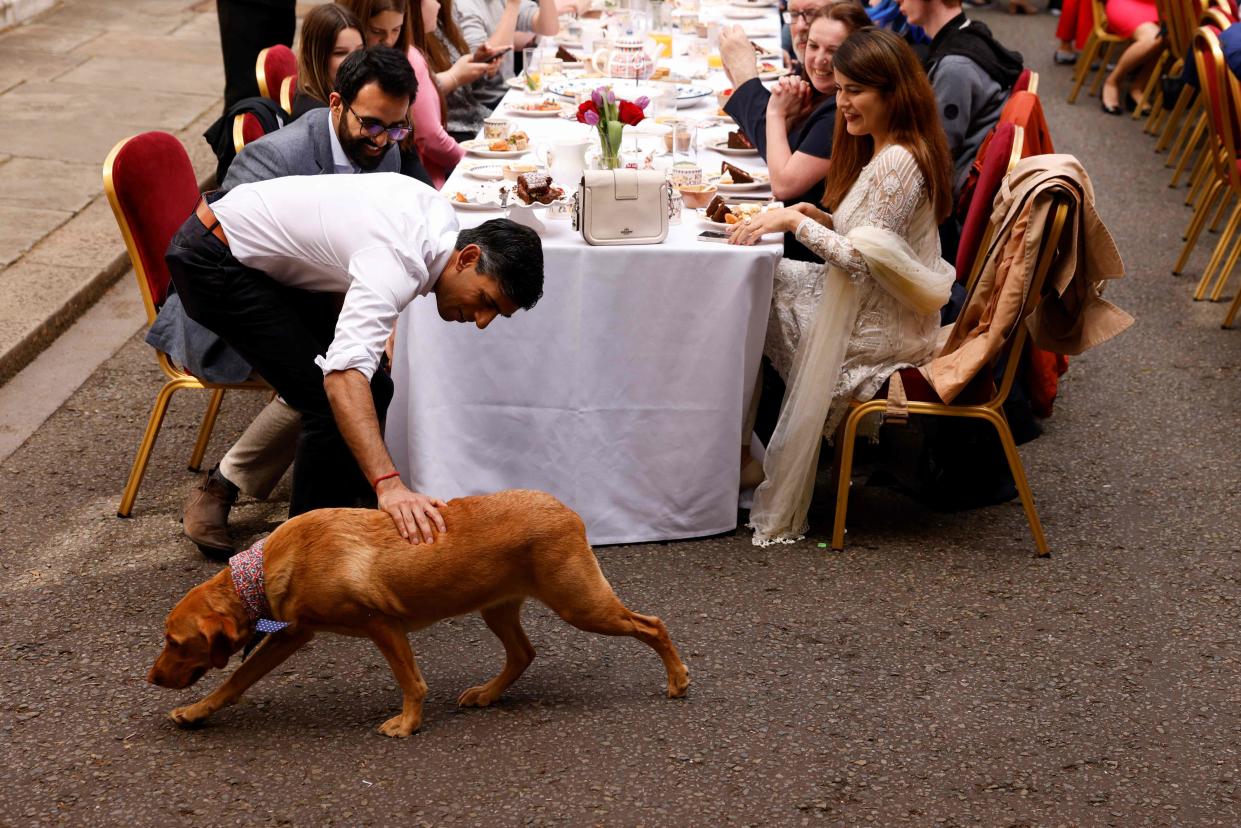 Rishi Sunak pets his dog Nova during a Coronation Big Lunch organised in Downing Street (AFP via Getty Images)