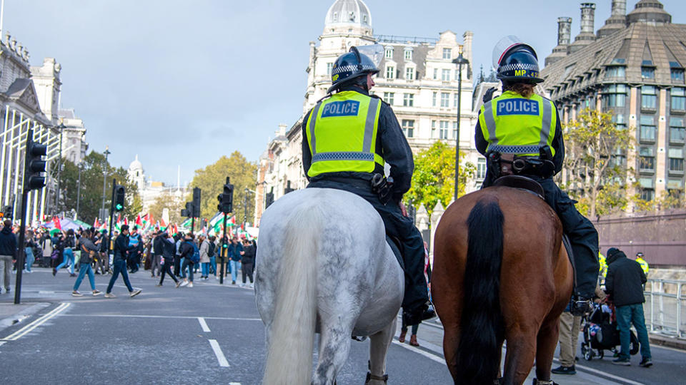 Met officers on horseback as they watch over demonstration in London