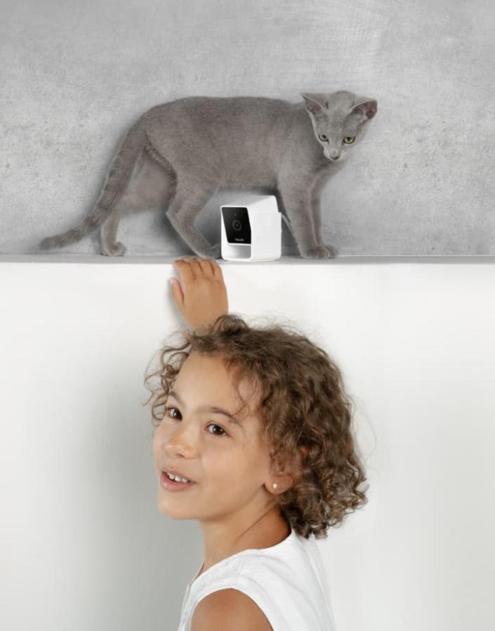 If you left your furry friend at home, you can peek in to see your pets while traveling, with the help of a Petcube camera (under $50 to start) and accompanying app. More advanced models also let you dispense treats from within the app while away!
