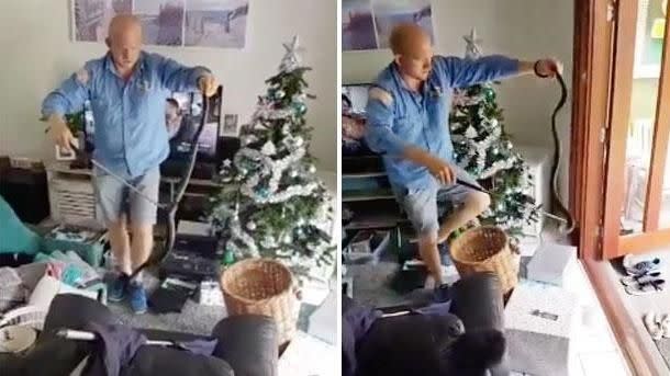 These Queenslanders got the shock of a lifetime when they found a snake in their Christmas tree. Photo: Storyful
