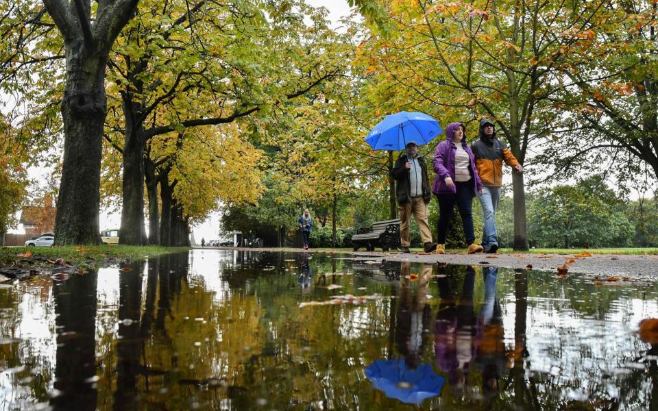 People walk under trees reflected in a puddle after rainfall in Greenwich Park, south-east London - Justin Tallis/AFP