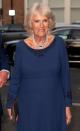 <p>Camilla, Duchess of Cornwall paired a navy dress with black embroidery with a pearl and sapphire necklace and drop earrings for an Age UK Tea at Spencer House in honor of Prince Charles's 70th birthday. </p>