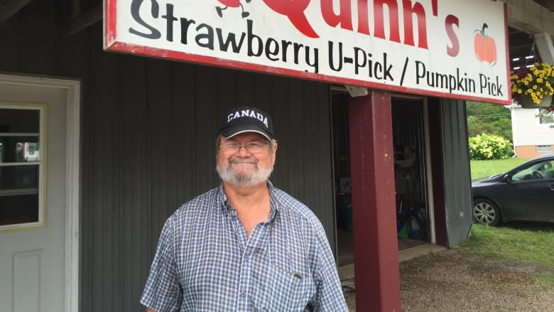 Instead of getting rid of leftover strawberries, one Cape Breton farm donates them