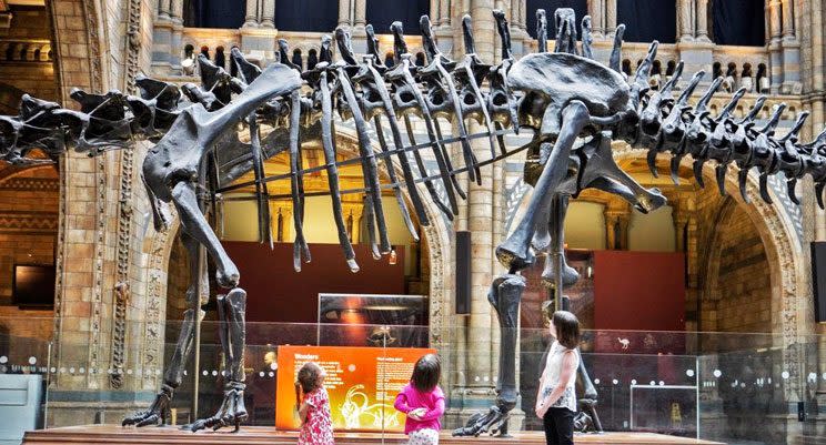 The Natural History Museum is a must to visit for kids as they also organise a series of educational programmes. (Photo: Natural History Museum Facebook)