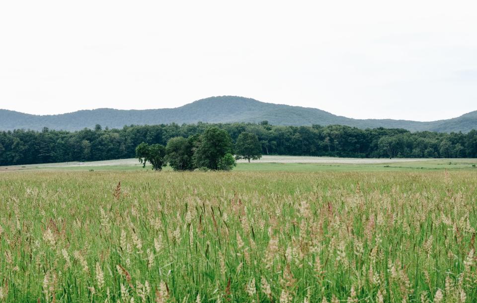 Mount Holyoke Range State Park, Massachusetts