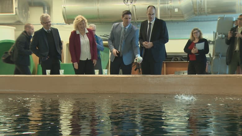 N.S. hopes to spur tidal energy research at Dal's Aquatron