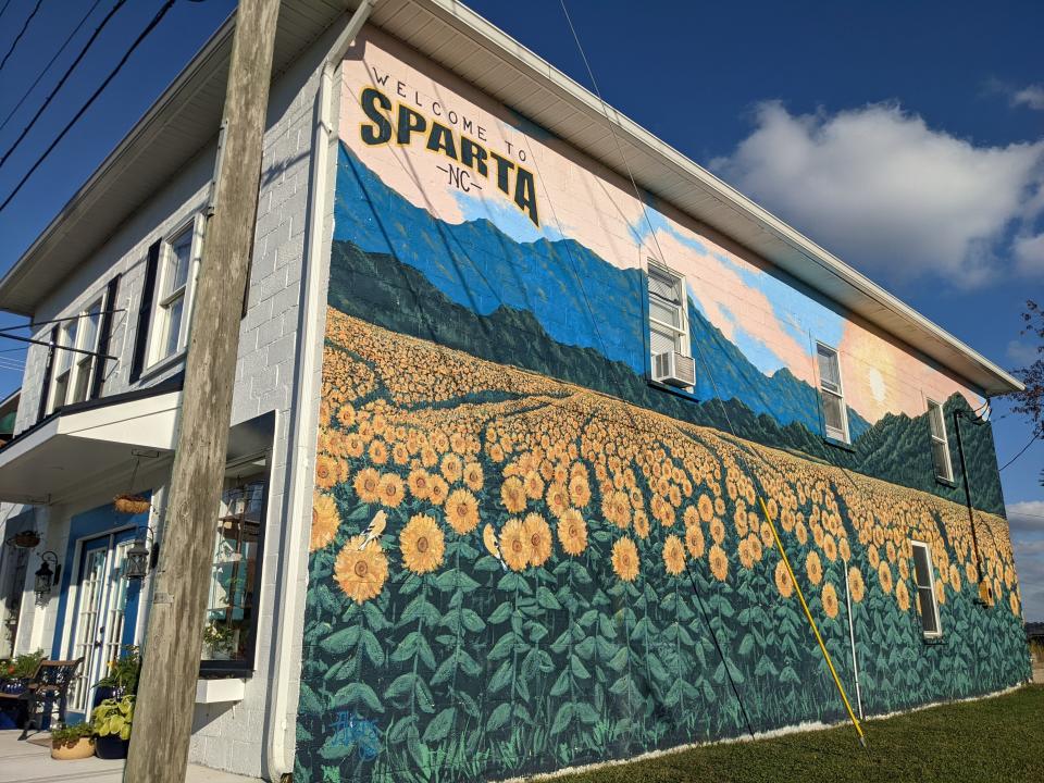 Sparta is the county seat of Alleghany County, a rural area where higher education is valued but has increasingly included community college and other technical programs, particularly as four-year degrees have become a dividing line in American politics