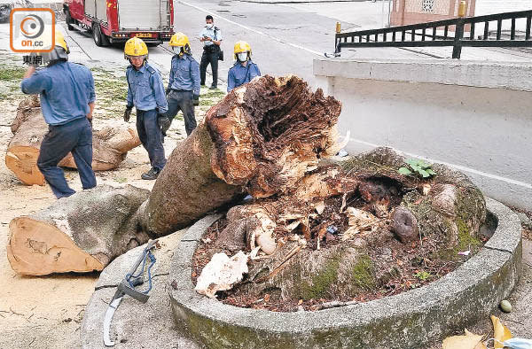 跑馬地  5月31日