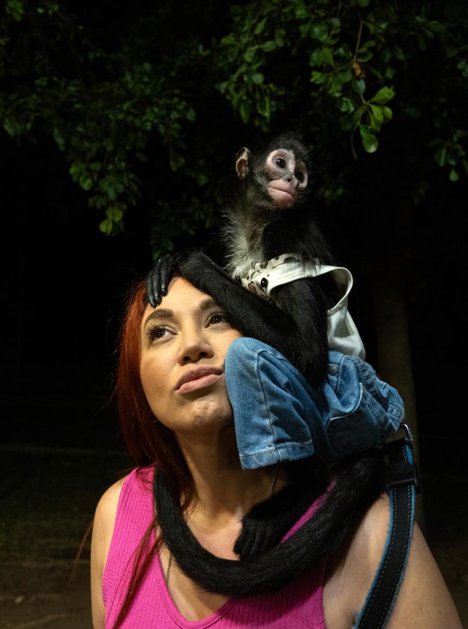 A spider monkey wearing jeans and a top sits on a woman's shoulder.