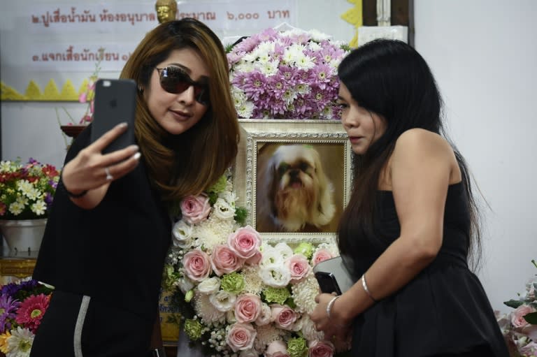 Pet cremations, complete with Buddhist rituals, are popping up across Bangkok for dogs, cats and even monkeys