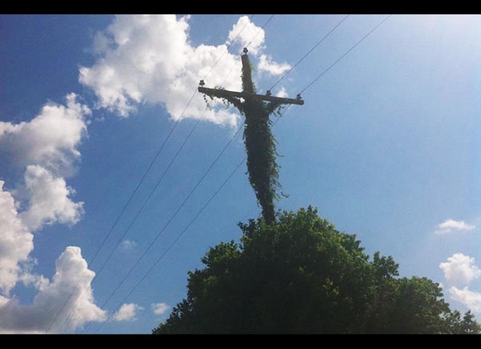 A Hathaway man recently came across a utility pole with a powerful image. Rickey Navarre did a double take of the pole while driving along Highway 26 and said he sees what appears to be Jesus Christ hanging on the cross. 