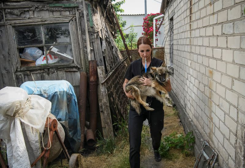 A volunteer evacuates a dog from a flooded area after the Nova Kakhovka dam breached, in Kherson