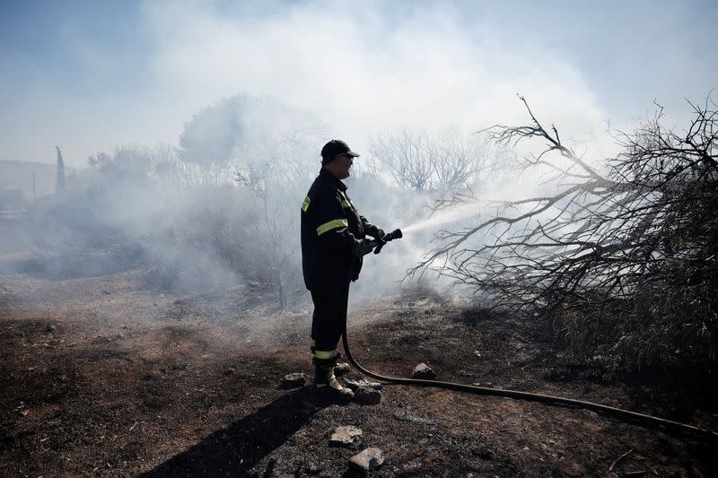 Wildfire near Koropi, in Greece