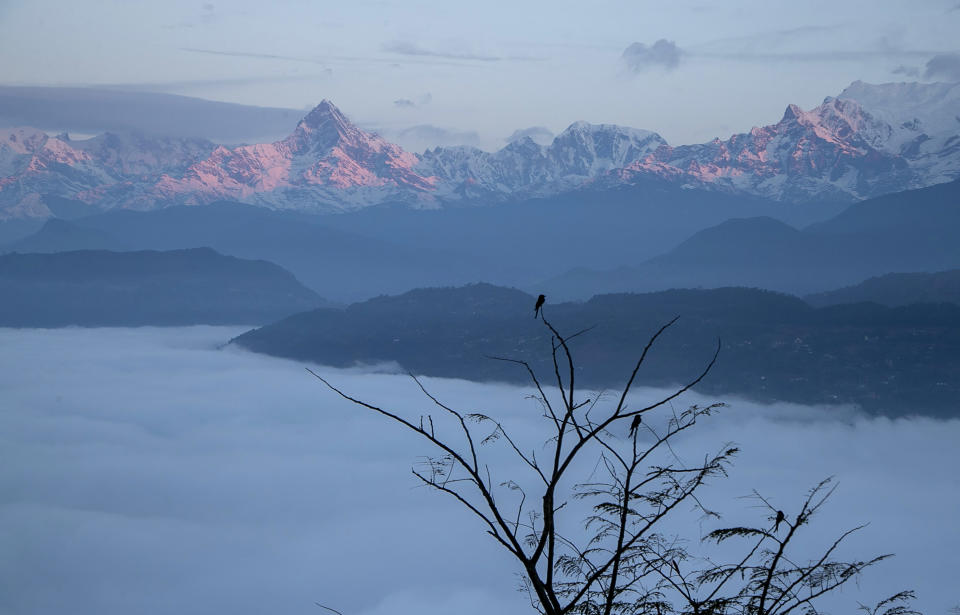 FILE - Birds sit on tree branches in front of a mountain range near Pokhara, Nepal, Saturday, Jan. 1, 2022. A police official Sunday, May 29, 2022, says a small airplane with 22 people on board flying on a popular tourist route is missing in Nepal’s mountains. (AP Photo/Niranjan Shrestha, File)