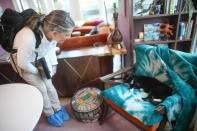 Dr. Amy Attas, greets Puddy Beyer, a 19 year old male Domestic Short Haired cat, as she arrives for a house call, Tuesday, April 23, 2024, in New York. (AP Photo/Mary Altaffer)