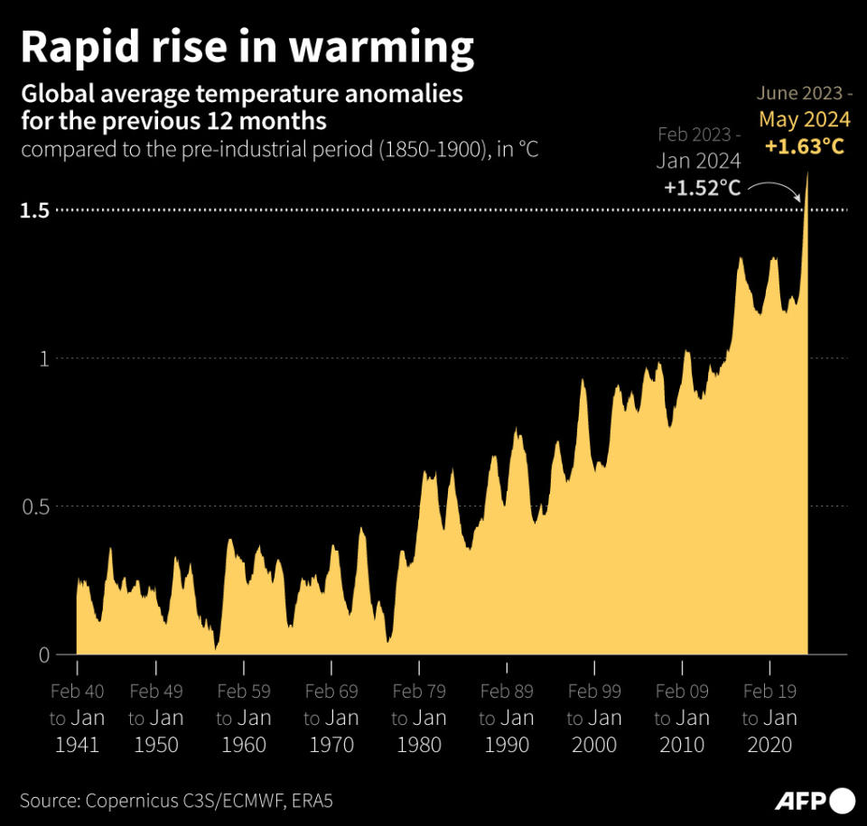 <span>Global average temperature anomalies for the previous 12 months compared to the pre-industrial period (1850-1900), estimated by Copernicus C3S/ECMWF</span><div><span>Nalini LEPETIT-CHELLA</span><span>Hervé BOUILLY</span><span>AFP</span></div>