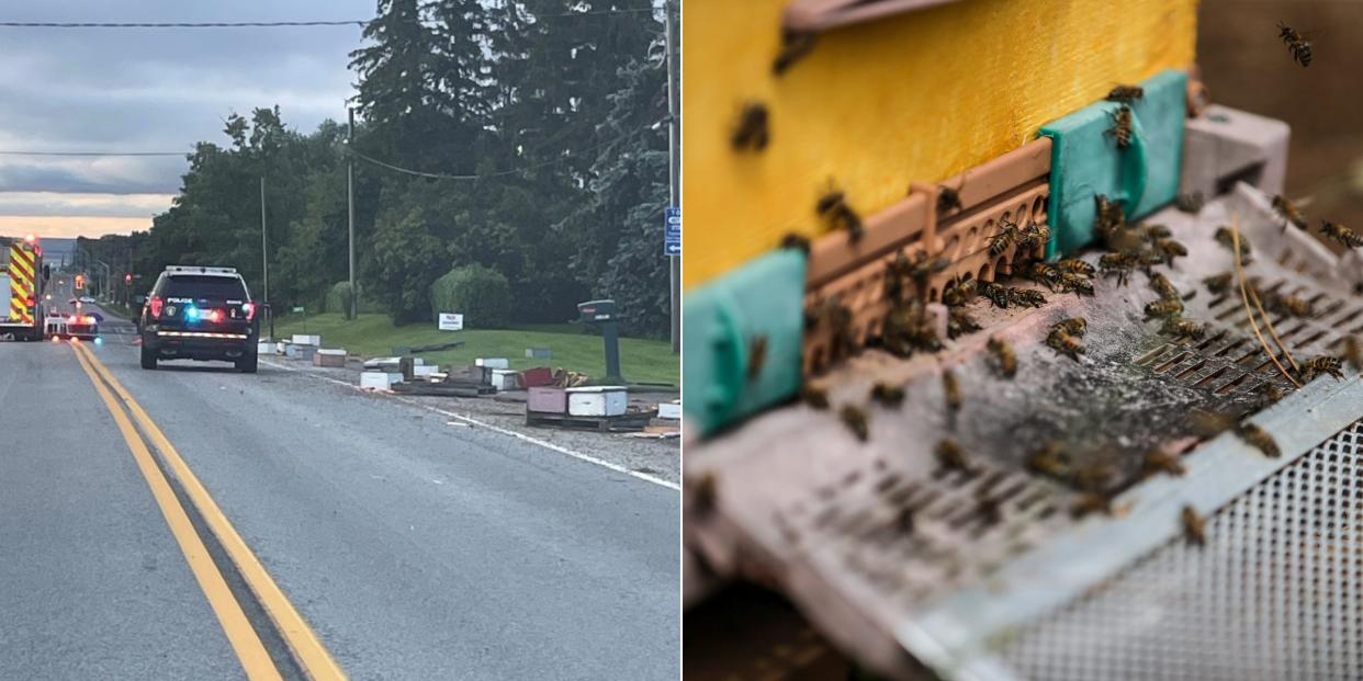 Bee hives on the road and a close up of bee hives.