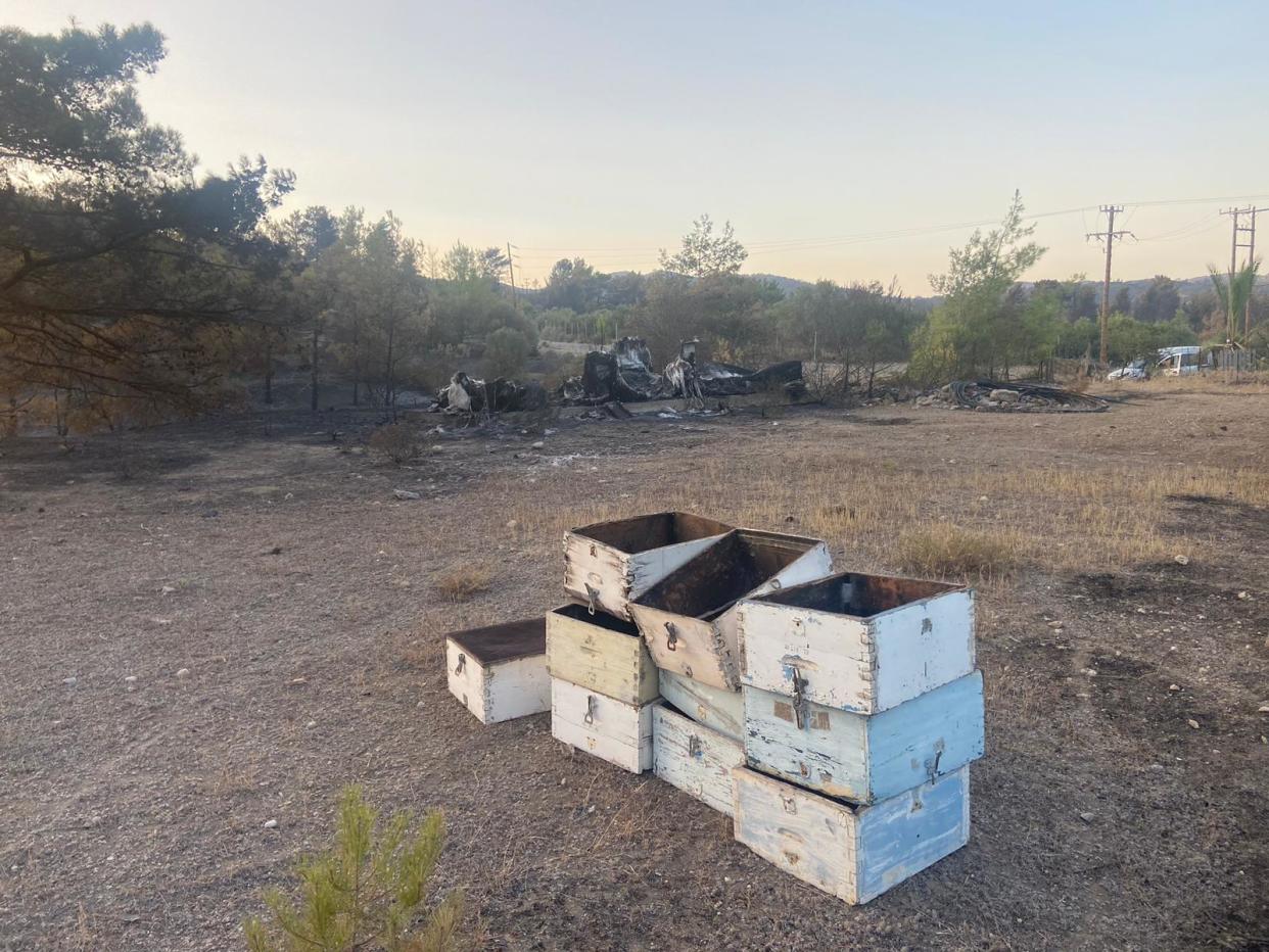 The remains of beekeeper’s hives and storage shed near Asklipio (Andy Gregory/The Independent)