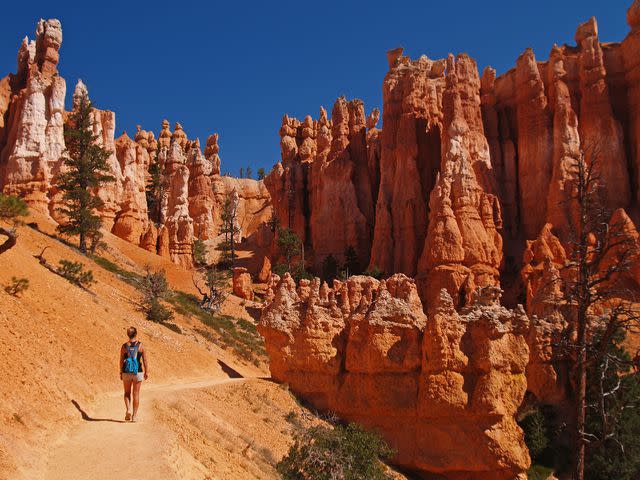 Matt Champlin / Moment / Getty Images Walking among the hoodoos in Bryce Canyon National Park, Utah.