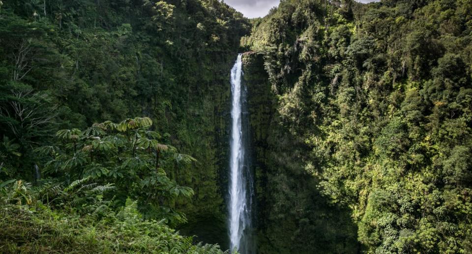 Hawaii ist bekannt für seine vielen beeindruckenden Wasserfälle. (Symbolbild: Getty Images)