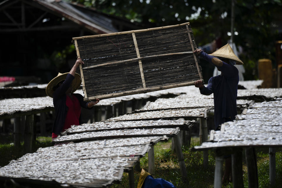 Fish are laid out to dry at a beach in Tanauan, Leyte, Philippines on Thursday, Oct. 27, 2022. (AP Photo/Aaron Favila)