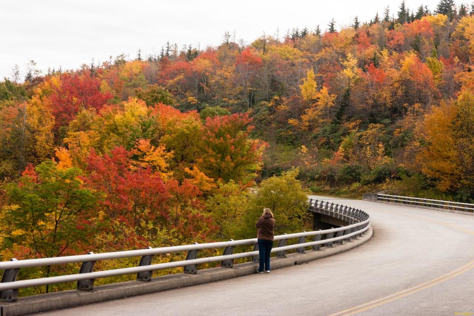 In this Oct. 17, 2013 photo provided by Grandfather Mountain a woman stops to take a photo of the fall foliage along the bridge over Green Mountain Creek on the Blue Ridge Parkway near Grandfather Mountain in Linville, N.C. While colors in the northern, higher elevations of South Carolina are still emerging, trees are exploding with color at the upper elevations in western North Carolina. (AP Photo/Grandfather Mountain, Monty Combs)