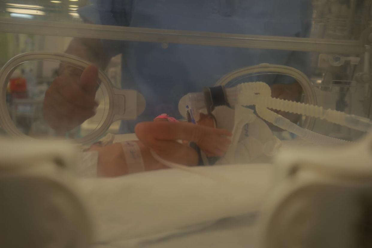 Sabreen Roh, a baby delivered 10 weeks premature on Saturday after her mother was killed by an airstrike in Gaza, is pictured at four days old in an incubator at Emirati Hospital on Wednesday. The newborn later died, according to her family. (Mohamed el Saife - image credit)