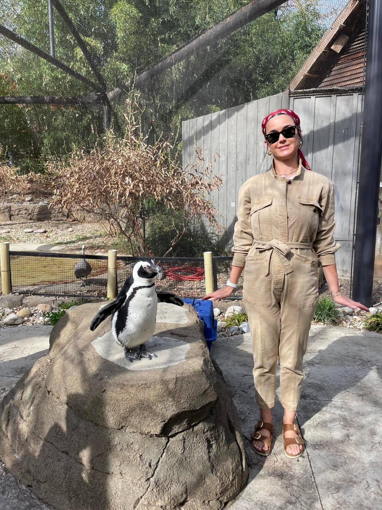 Katy Perry posing for a photo op alongside Simon, Louisville Zoo's black-footed penguin.