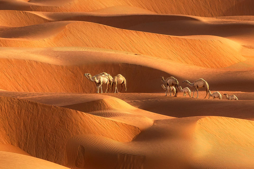 Sea of sand – Beautiful photos of Dubai’s deserts