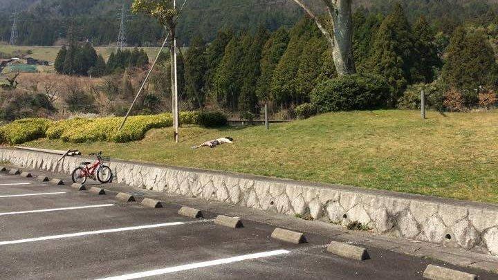 日本一名媽媽表示，兒子近來著迷於裝死遊戲，好幾次都收到朋友傳來兒子倒在野外的照片。（翻攝自@Riko_Murai推特）