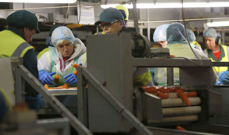 Workers sort carrots at Poskitts farm in Goole, Britain May 23, 2016. REUTERS/Andrew Yates