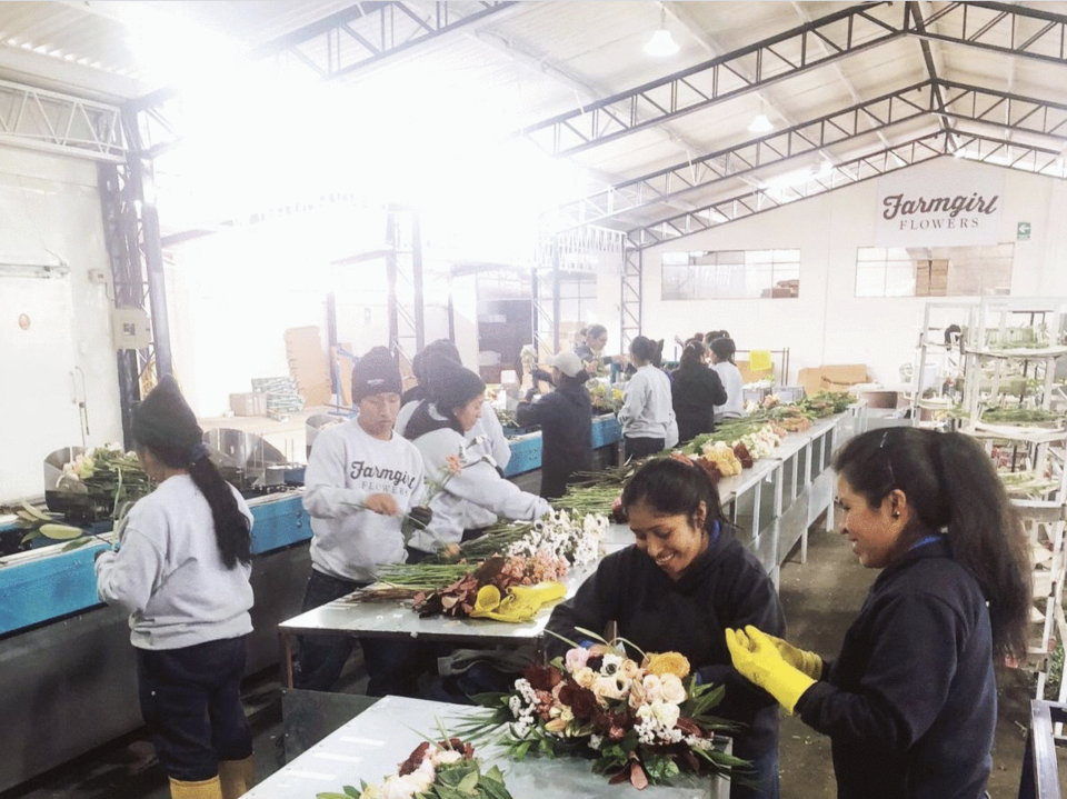 Farmgirl Flowers recently opened a distribution center in Ecuador. (Courtesy of Farmgirl Flowers)
