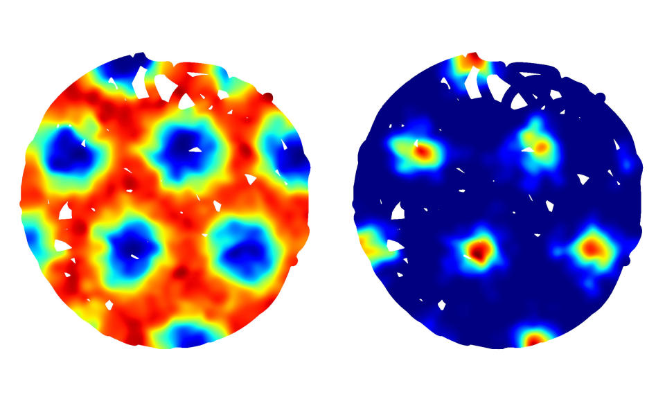 Our brains hold specialized neurons called grid cells that help us to keep track of where we are. This heat map shows the regions in space where an individual grid cell becomes active during exploration of a circular room. 