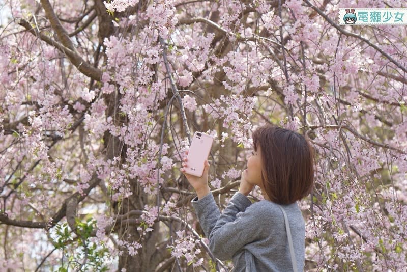 [開箱] 雙鏡頭雙倍電量『ZenFone 3 Zoom』拍照手機新色玫瑰金一週拍照實用心得