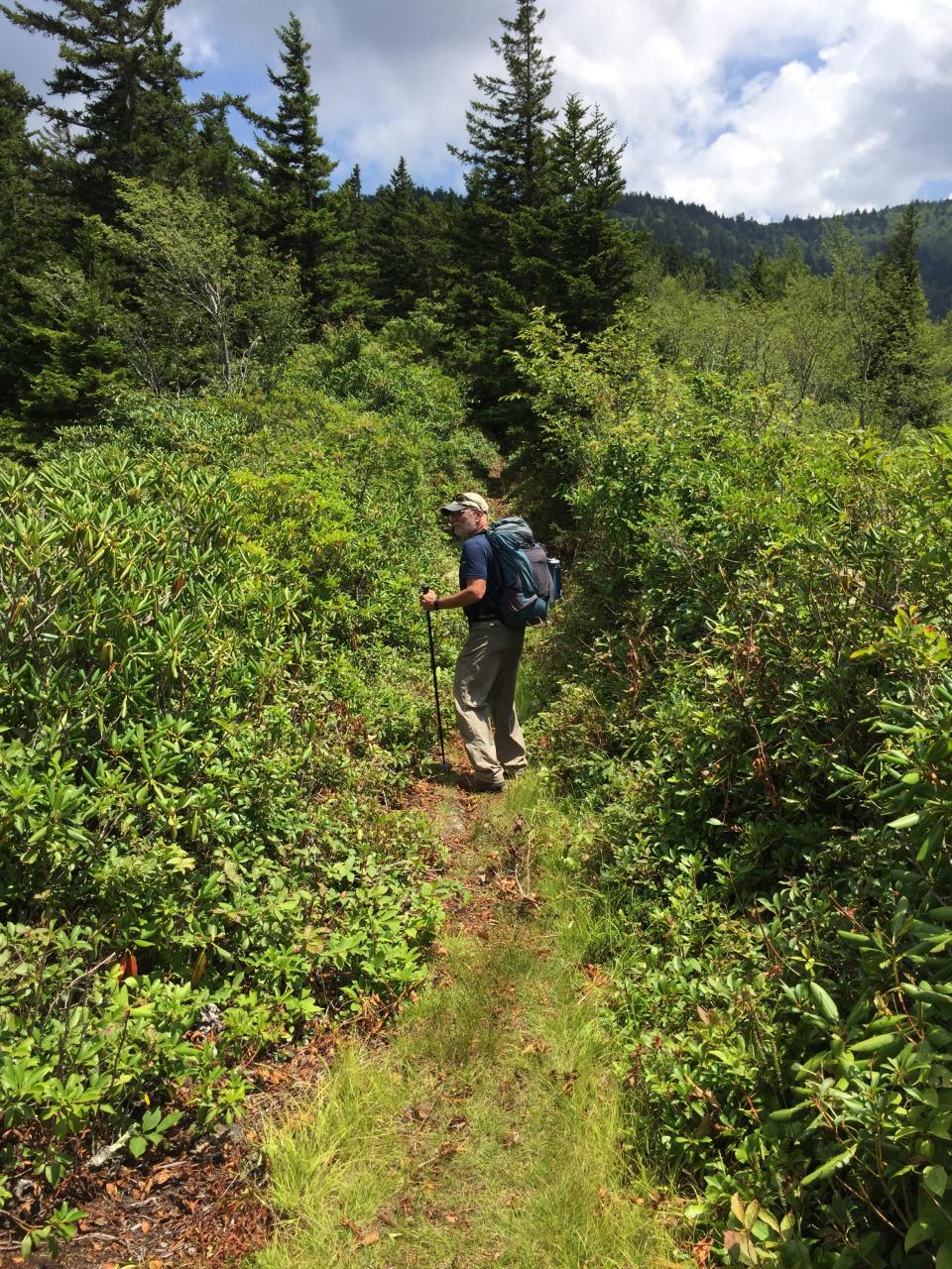 University of Nebraska–Lincoln professor Thomas Powers searches for nematodes on Maddron Bald in Great Smoky Mountains National Park. Provided by Dr. Thomas Powers.