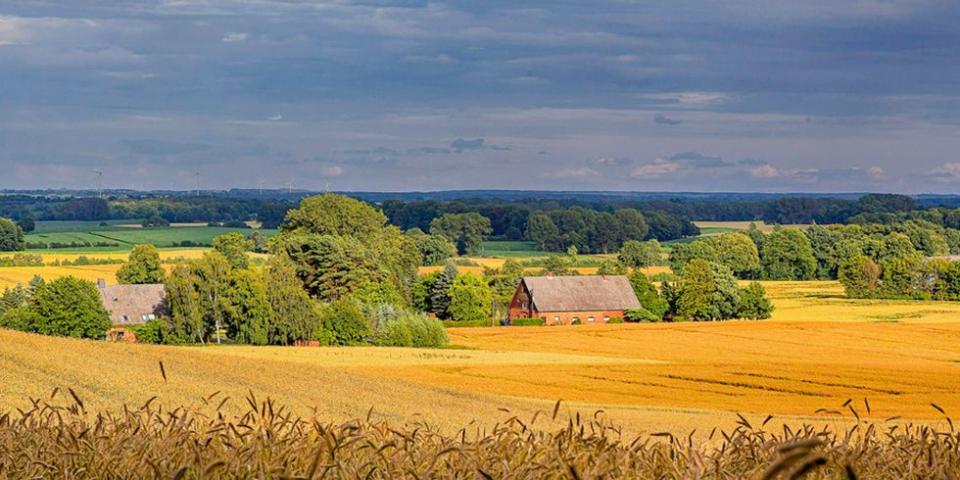 Schmedeswurtherwesterdeich, Germany